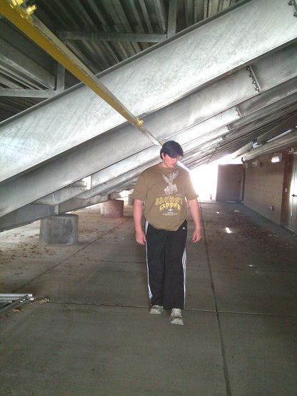 Ascending Angel